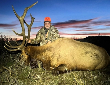 A nonresident Wyoming hunter poses with his battle worn bull elk.